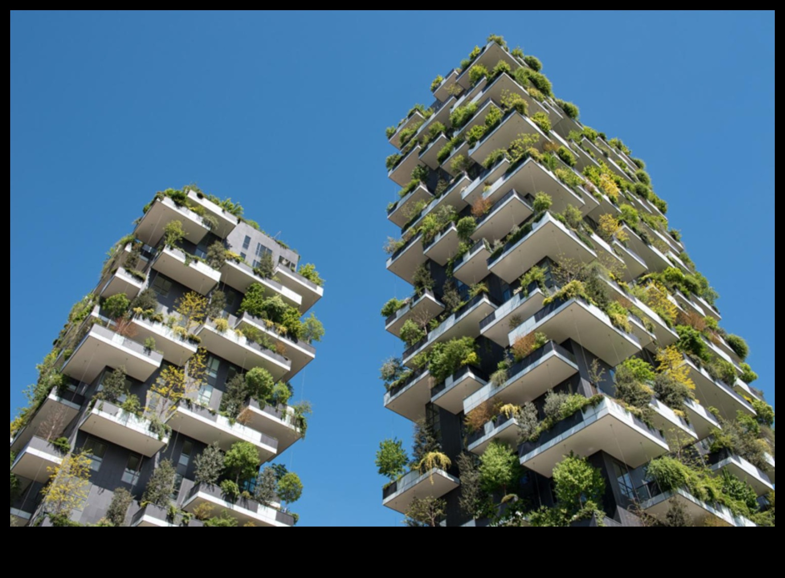 Dive into the World of Green Architecture and Eco-Friendly Designs