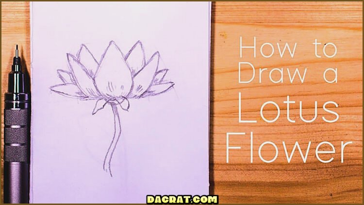 Cómo dibujar una flor de loto