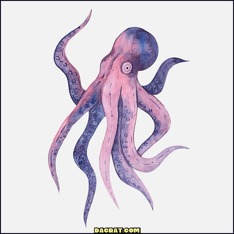 Tonos de dibujo de pulpo morado.