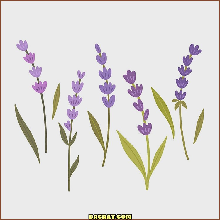 Ramas individuales de lavanda