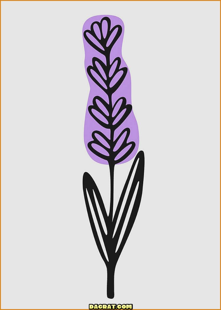 Sola flor de lavanda