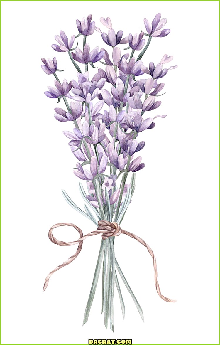 Lavanda atada con hilo