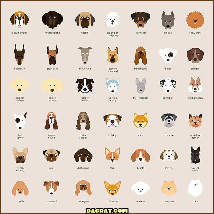 42 ilustraciones de razas de perros