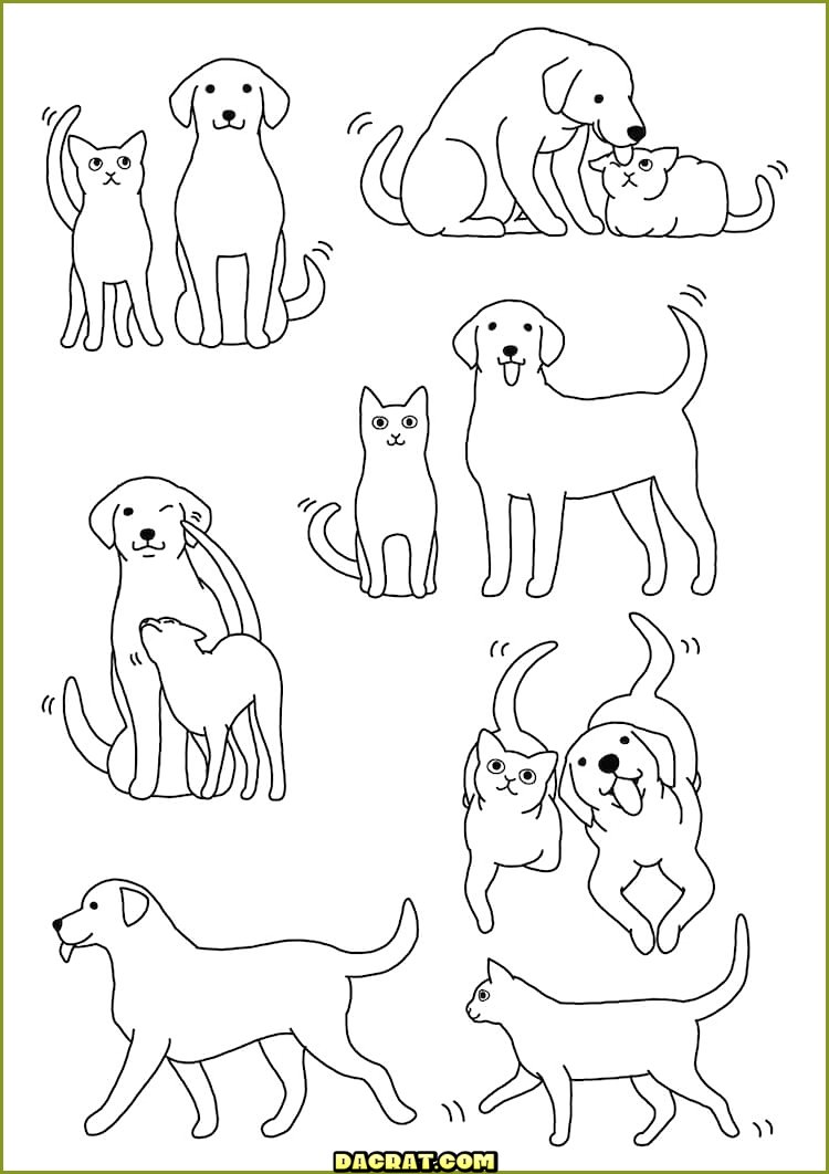 Seis dibujos de perros y gatos.