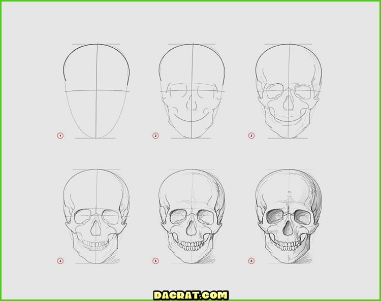 Cómo dibujar una calavera