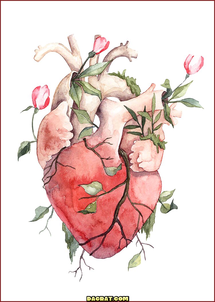 Dibujo de corazón floral