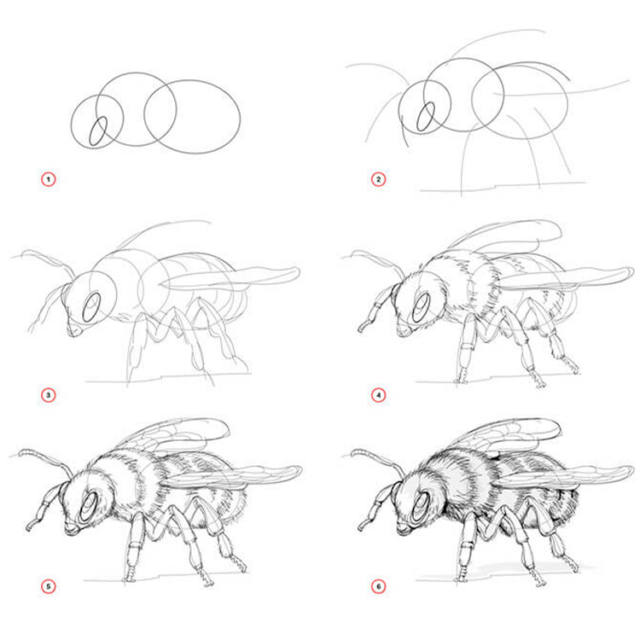 20 increíbles tutoriales de dibujo 3D paso a paso
